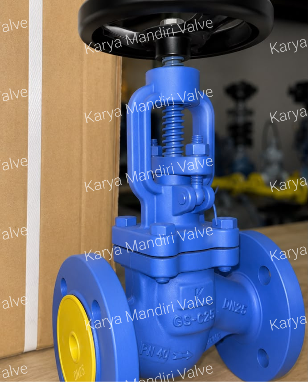 Globe Valve
